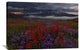 "Apocalypse Now" Stretched Canvas Giclee by Miles Morgan, 36x24"