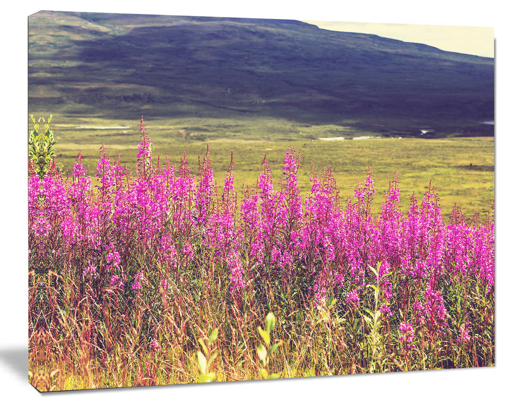 Purple Flowers in Mountain Pasture, Floral Canvas Art Print, 40"x30"