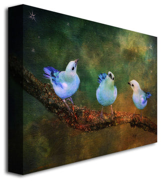 'Three Little Blue Birds' Canvas Art by Lois Bryan