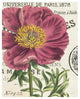"Peony Botany" Digital Paper Print by Sue Schlabach, 30"x37"