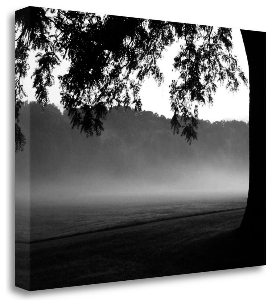 "Fog In The Park I" By Gary Bydlo, Giclee Print on Gallery Wrap Canvas