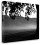 "Fog In The Park I" By Gary Bydlo, Giclee Print on Gallery Wrap Canvas