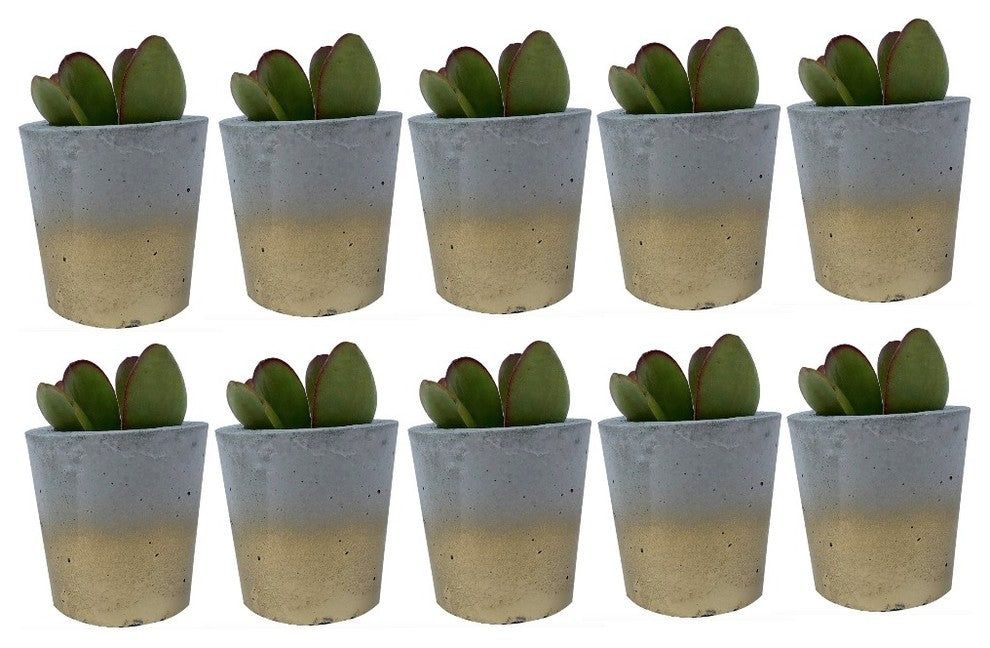 Mini Concrete Planters, Set of 10, Gold Faded
