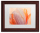 Cora Niele ''Orange Glowing Tulip'' Matted Framed Art