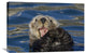"Sea Otter Yawning, Monterey Bay, California" Artwork, 30" x 20"