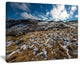 "Top of Kosciuszko National Park" Canvas Print20"x12"
