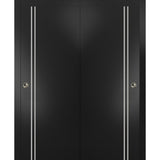 Bypass Doors 56 x 84 | Planum 0310 Matte Black with  | Sturdy Rails