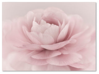 Cora Niele 'Stylisch Rose Pink' Canvas Art