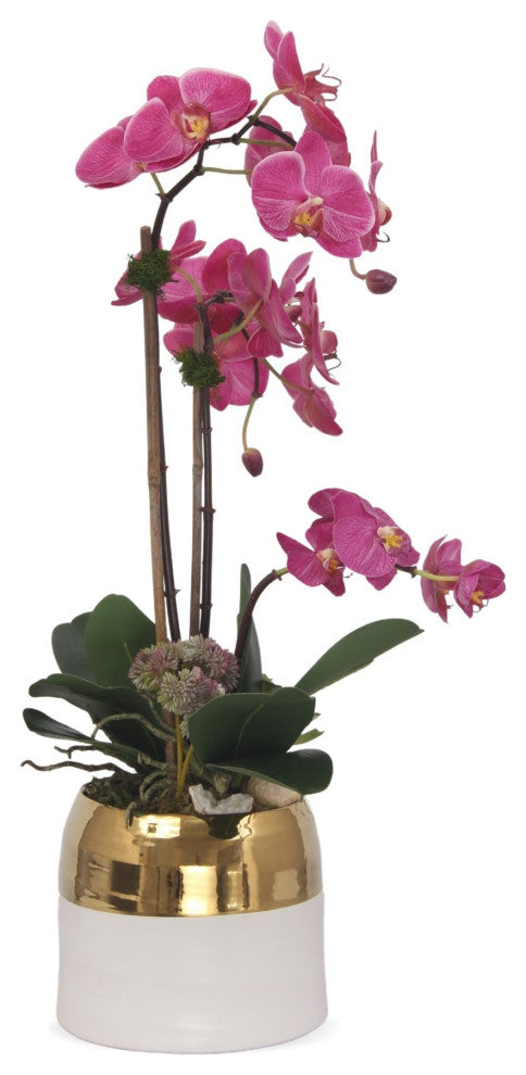 Fuchsia Orchids Arrangement, Round Ceramic Pot