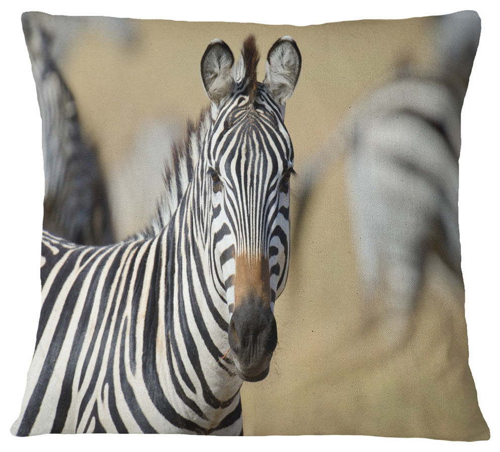 African Zebra Close Up View African Throw Pillow, 18"x18"