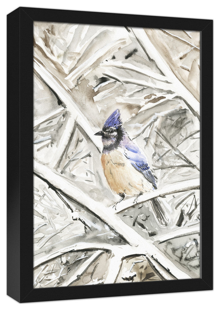 Winter Blue Jay 12x18 Black Framed Canvas