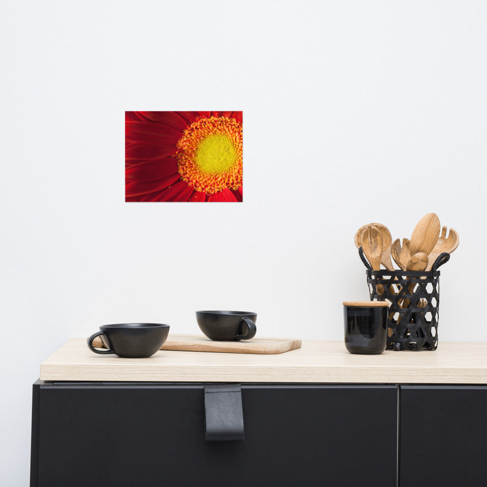 Nature's Beauty Nature Photography, Floral Unframed Wall Art Print, 8" X 10"