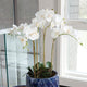 Orchid 25" Bowl Drop-In White