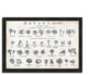 "Botany Tab Viii Indigo And White" By Wild Apple Portfolio,Framed Painting Print