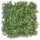 UV Rated Outdoor Set of 24 Boxwood Mats