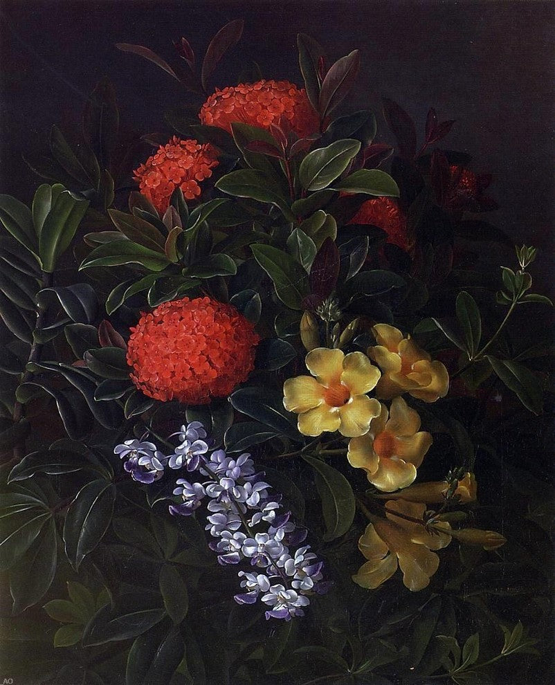 Johan Laurentz Jensen Allemanda Ixora and Orchids Wall Decal Print