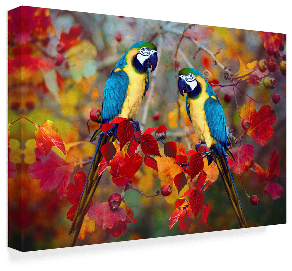 "Bird Collection 19" by Ata Alishahi, Canvas Art, 22"x32"