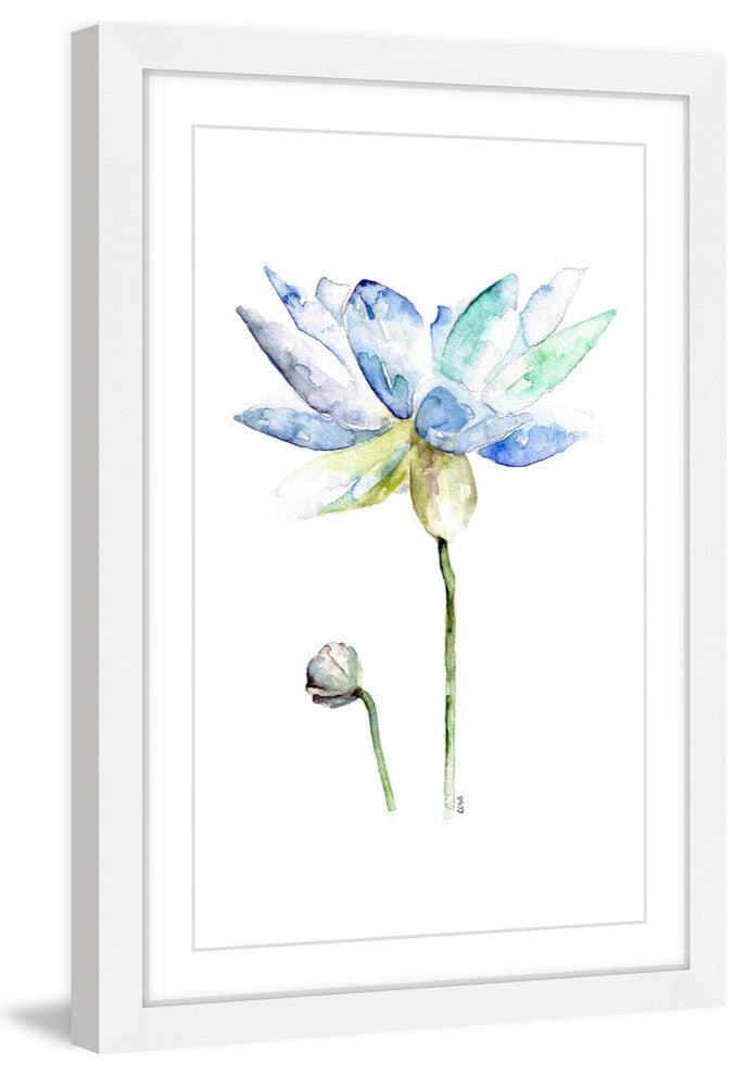 "Lotus" Framed Print by Rachel Byler