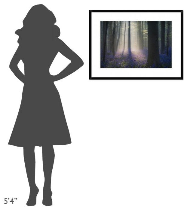 "Velvet Light" Framed Digital Print by Adrian Popan, 32x24"