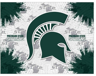 Michigan State Logo Canvas