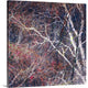 "Tracery I" Wrapped Canvas Art Print, 16"x16"x1.5"