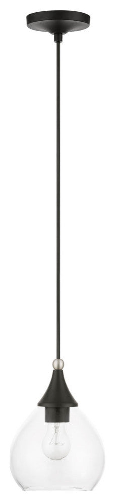 Catania 1 Light Black With Brushed Nickel Accents Mini Pendant