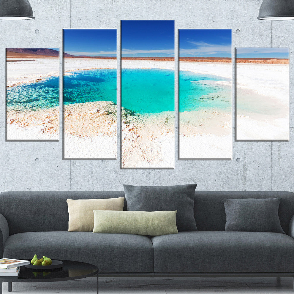 Beautiful Salinas Lake in Argentina, Landscape Canvas Art, 60"x32", 5 Panels