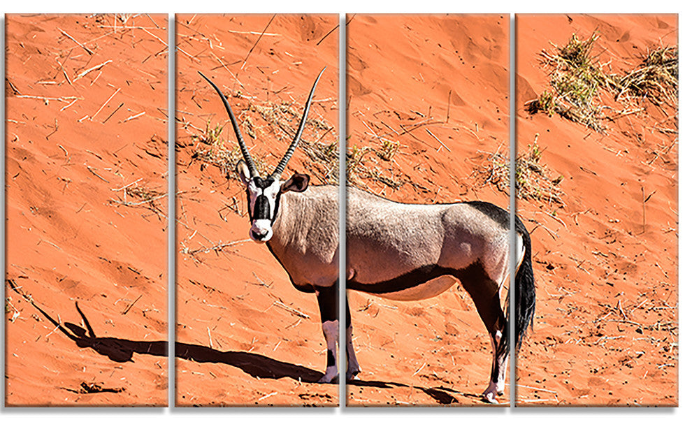 Large Oryx in Bright Namib Desert, Animal Canvas Art Print, 48"x28", 4 Panels