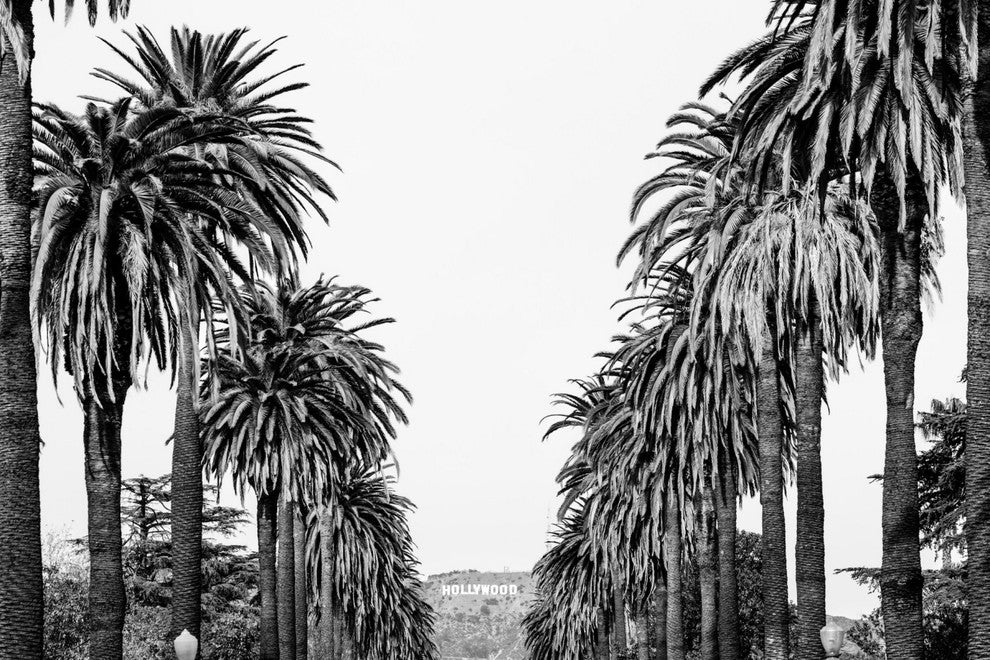 "Hollywood in Sight" Painting Print on Wrapped Canvas