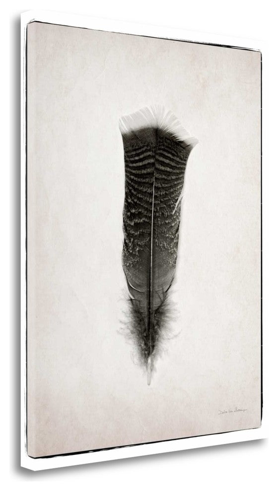 "Feather III Bw" By Debra Van Swearingen, Giclee Print on Gallery Wrap Canvas