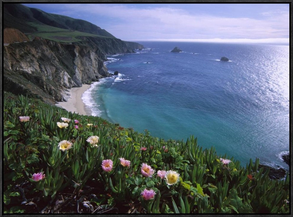 Ice Plant Or Hottentot Fig Big Sur Coast Near Bixby Creek, California, 32"x24"