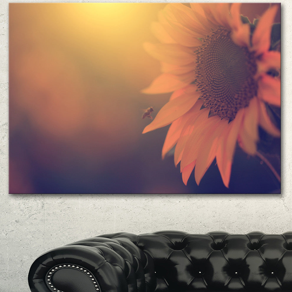 Vintage Photo Of Sunflower Close up, Large Floral Canvas Art Print, 60"x28"
