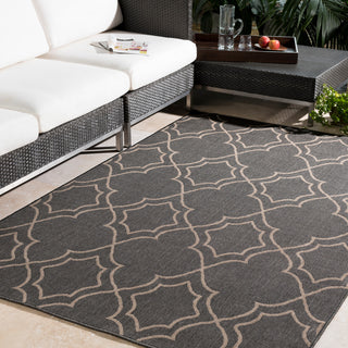 Alfresco Area Rug, 8'9" Round