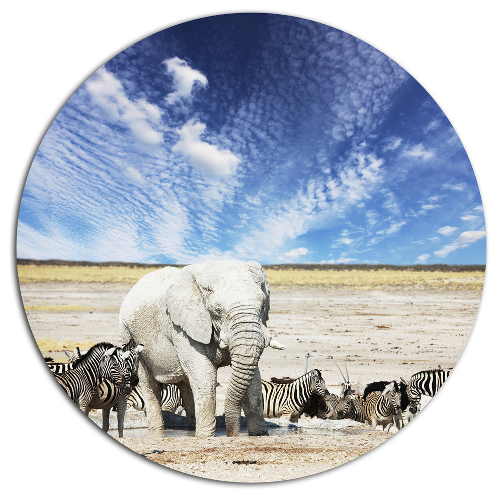 Huge White Elephant And Zebras, Animal Round Wall Art, 11"