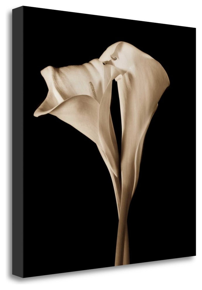 "The Embrace" By John Rehner, Giclee Print on Gallery Wrap Canvas, Ready to Hang