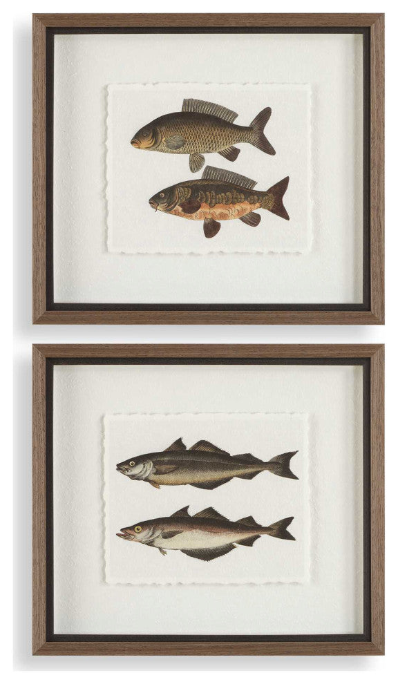 Uttermost The Catch Framed Fish Prints Set of 2