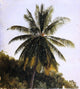 Frederic Edwin Church Palm Trees- West Indies, 20"x25" Wall Decal