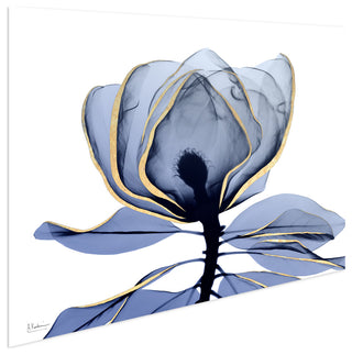 "Golden Midnight 1"Frameless Free Floating Panel Graphic Wall Art, 32"x48"