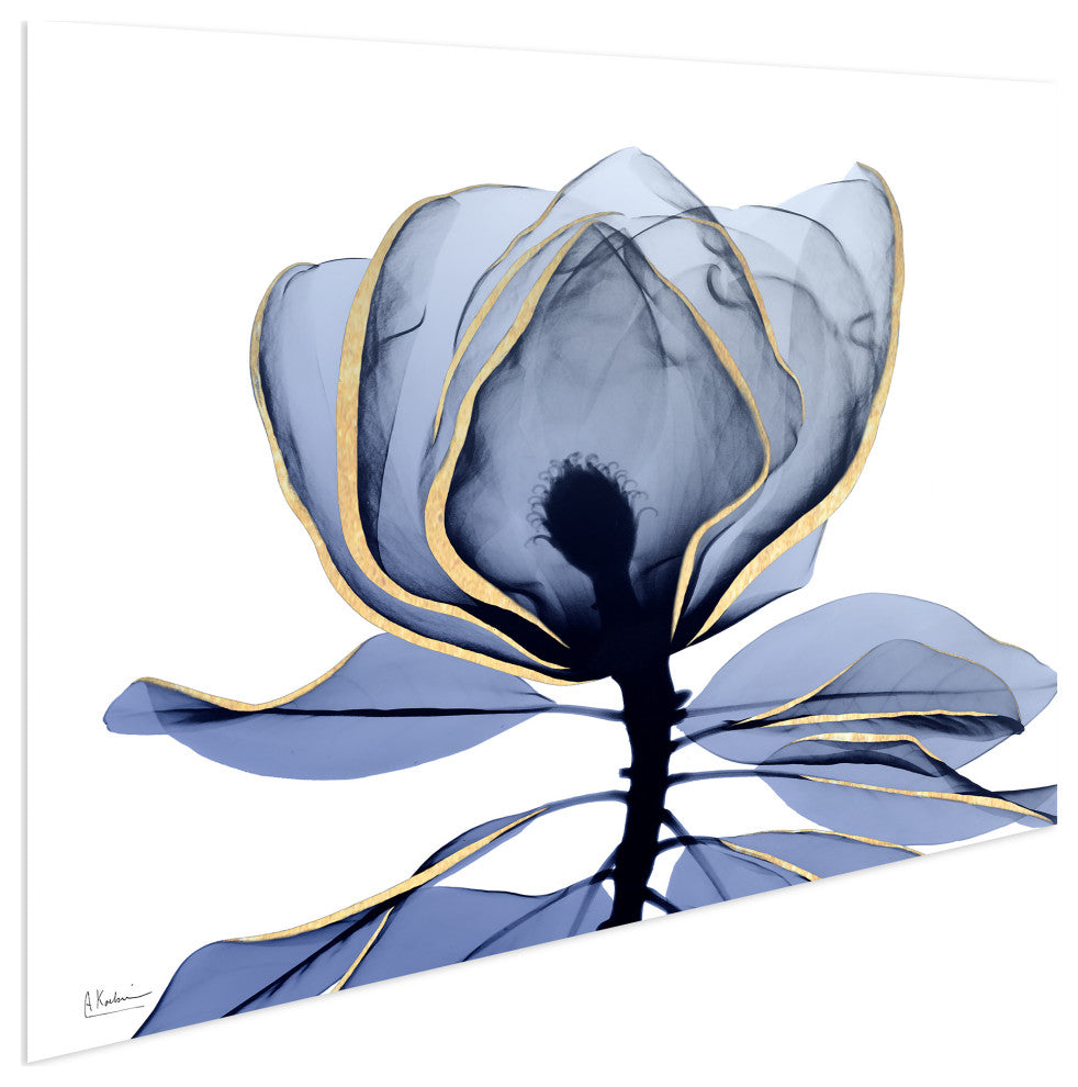 "Golden Midnight 1"Frameless Free Floating Panel Graphic Wall Art, 32"x48"