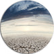 Dry Soil Dreamscape, Landscape Photo Disc Metal Wall Art, 11"
