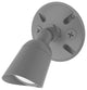 WAC Lighting Endurance Single Spot Light LED 5000K Cool White, Graphite