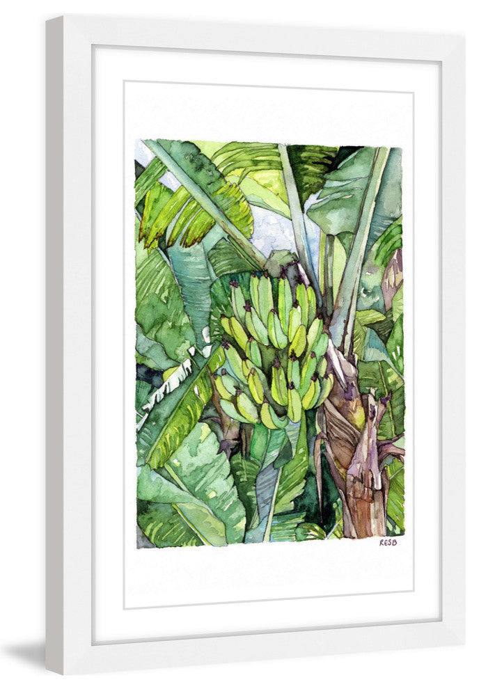 "Banana Tree" Framed Print by Rachel Byler