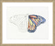 Papillon Croquis 1, Giclee Reproduction Artwork