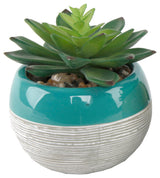 Succulent In Two Tone Lines Pattern Ceramic Pot ,Teal