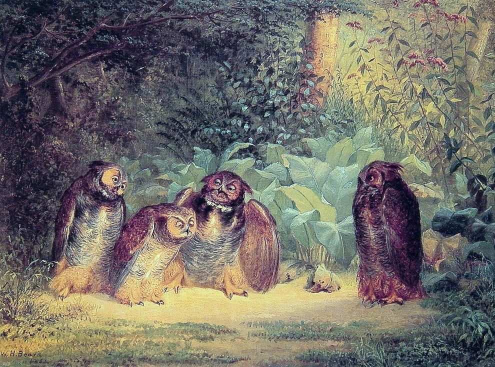 William Holbrook Beard Owls, 21"x28" Gallery Wrapped Canvas Print