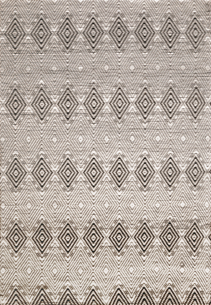 Dynamic Rugs Soul Cotton and Nylon Handmade Area Rug 8X10