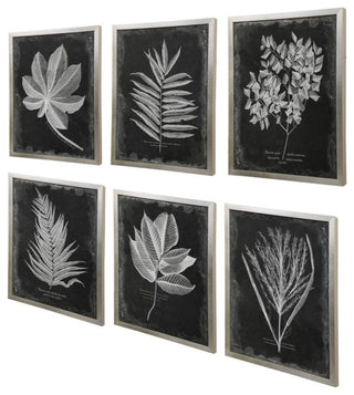 Uttermost Foliage Framed Prints, S/6