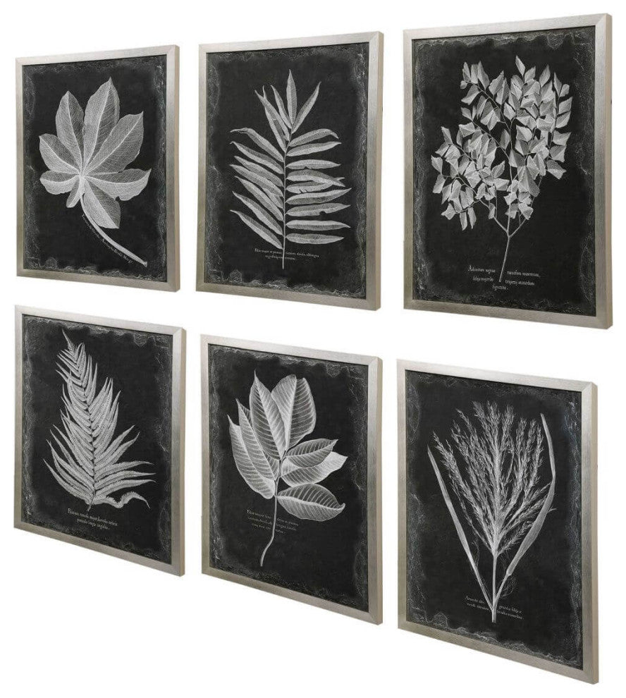 Uttermost Foliage Framed Prints, S/6