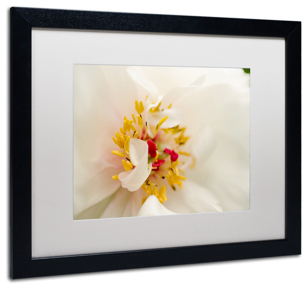 PIPA Fine Art 'Eye of Peony' Matted Framed Art, 20x16