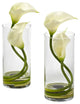 Double Calla Lily With Cylinder, Set of 2, Cream